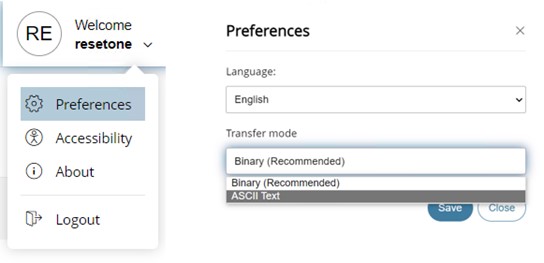 Users can go to prefences to change aspects of their files before uploading.